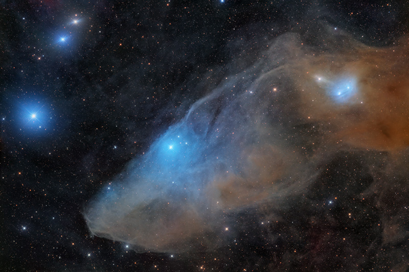 Barnard 41 Blue Horsehead