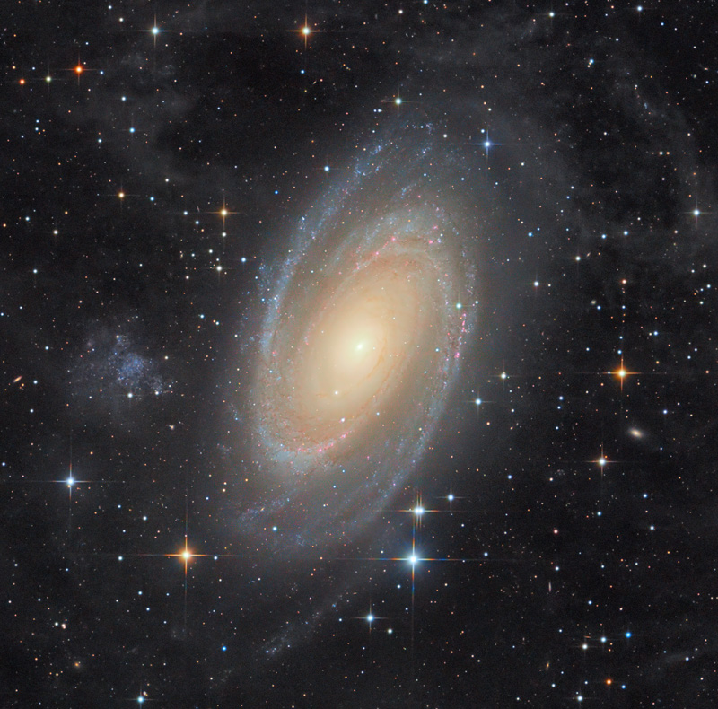 M81