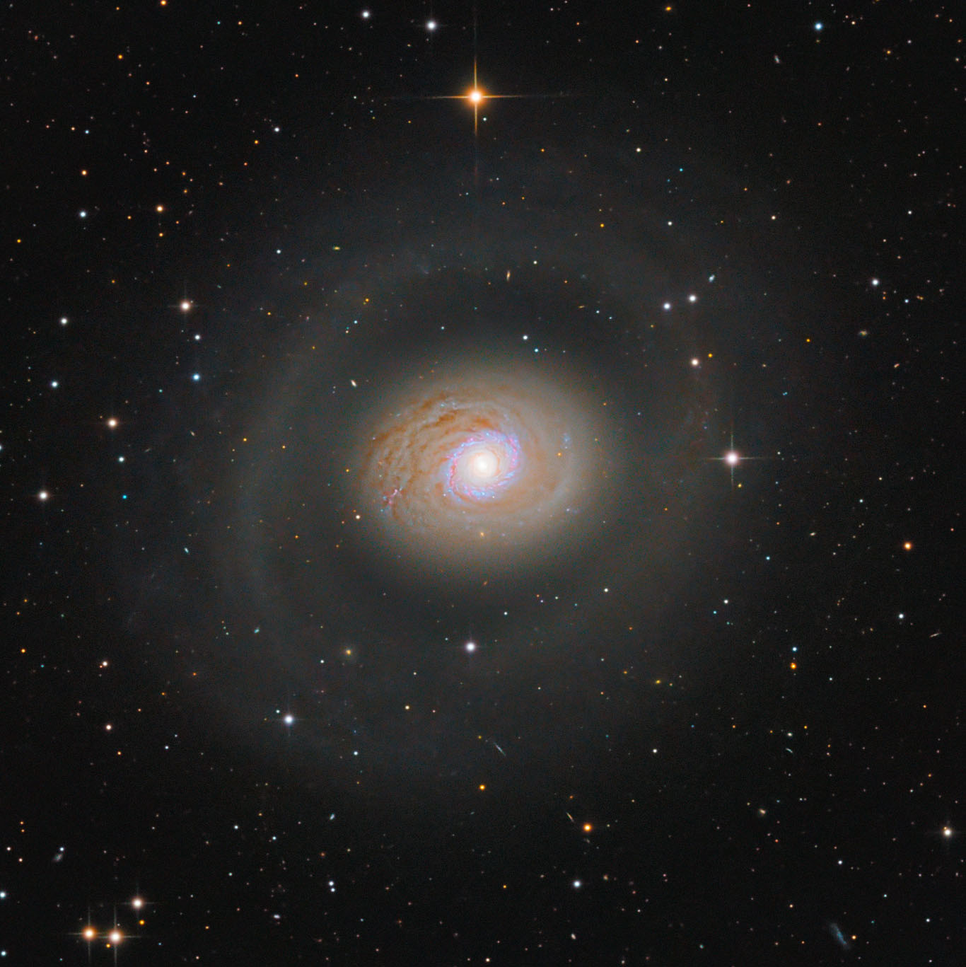 Messier 94 - The Croc's Eye Galaxy