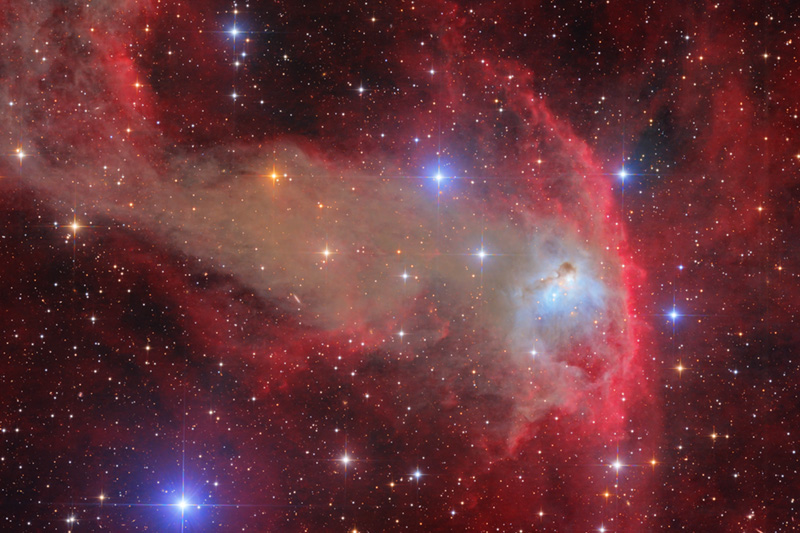 Bat Nebula