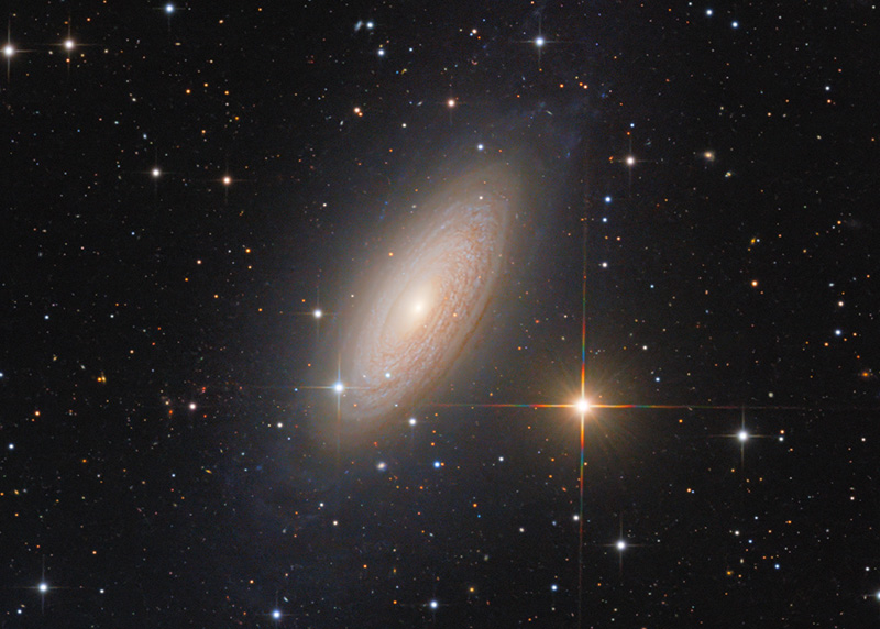 NGC 2841