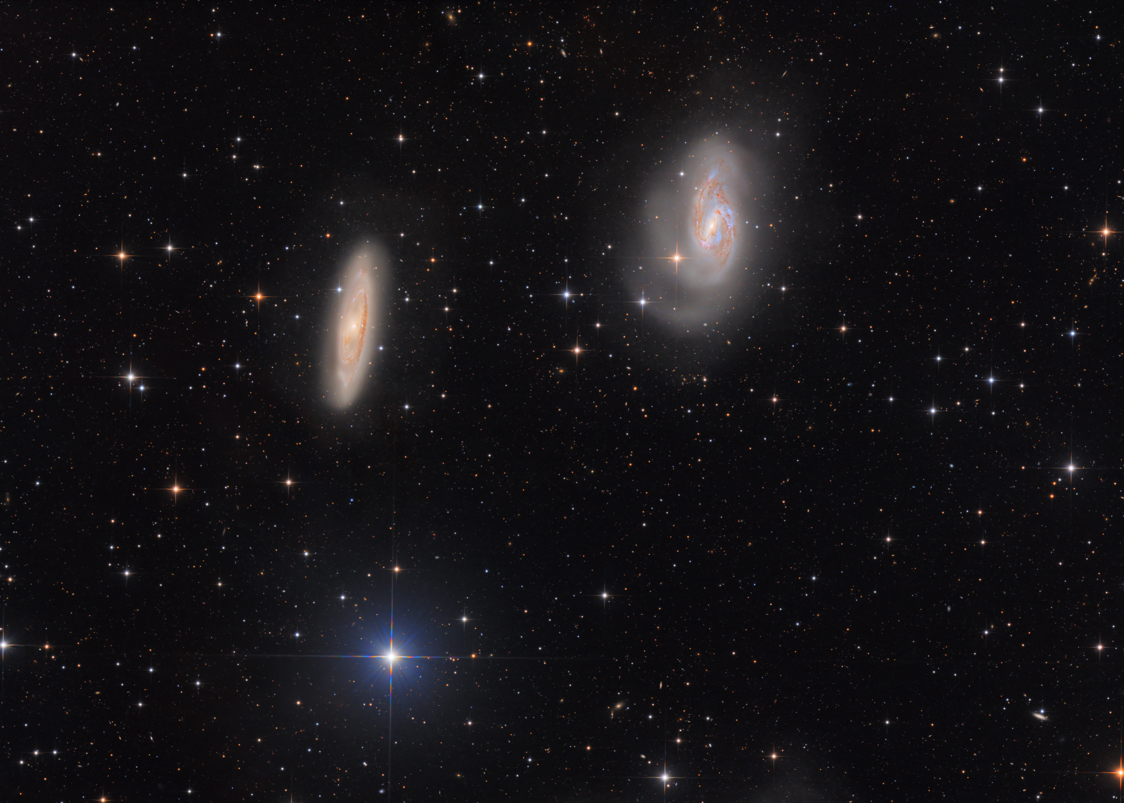 Leo Triplett M65 M66