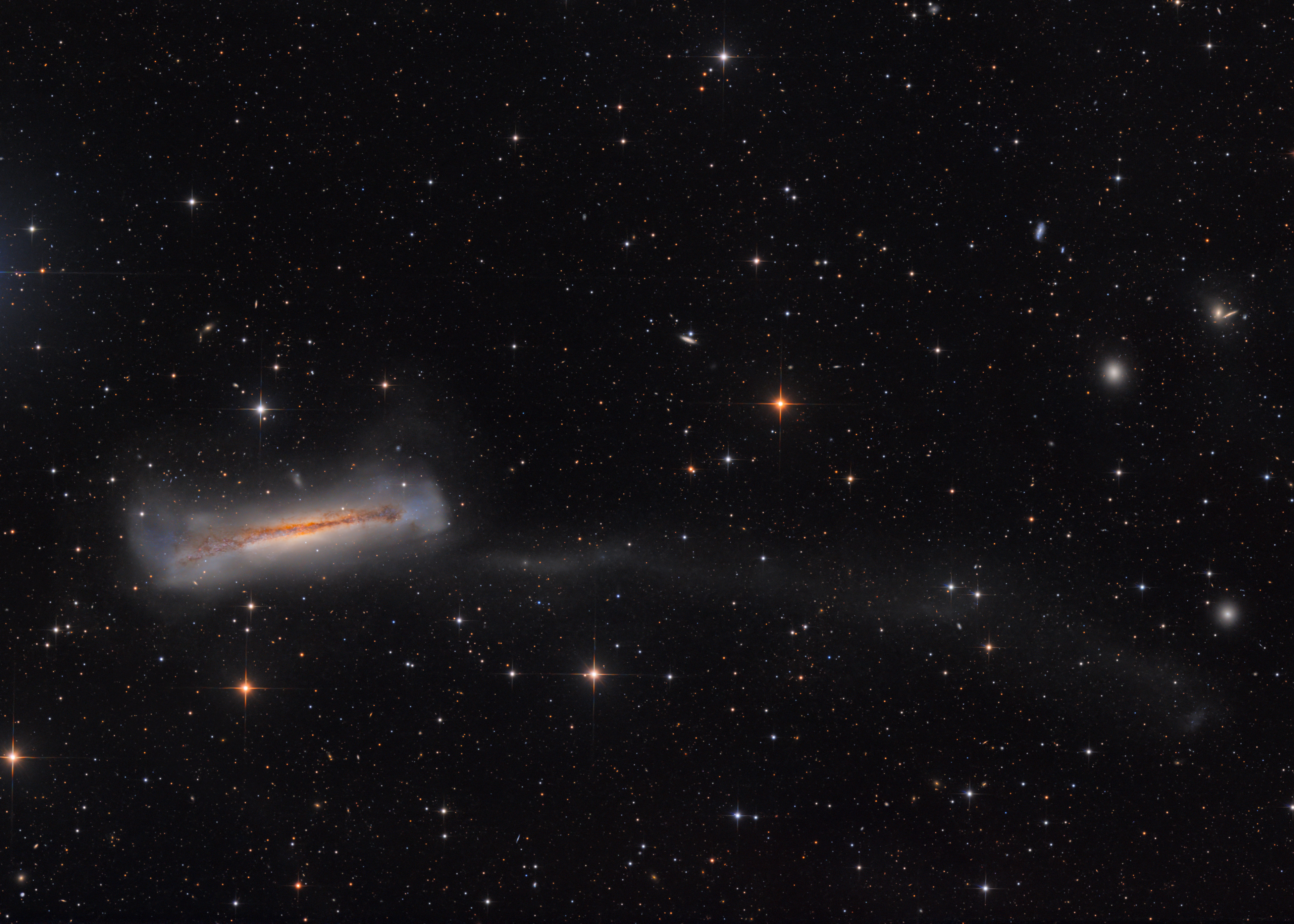 Leo Triplett NGC3628
