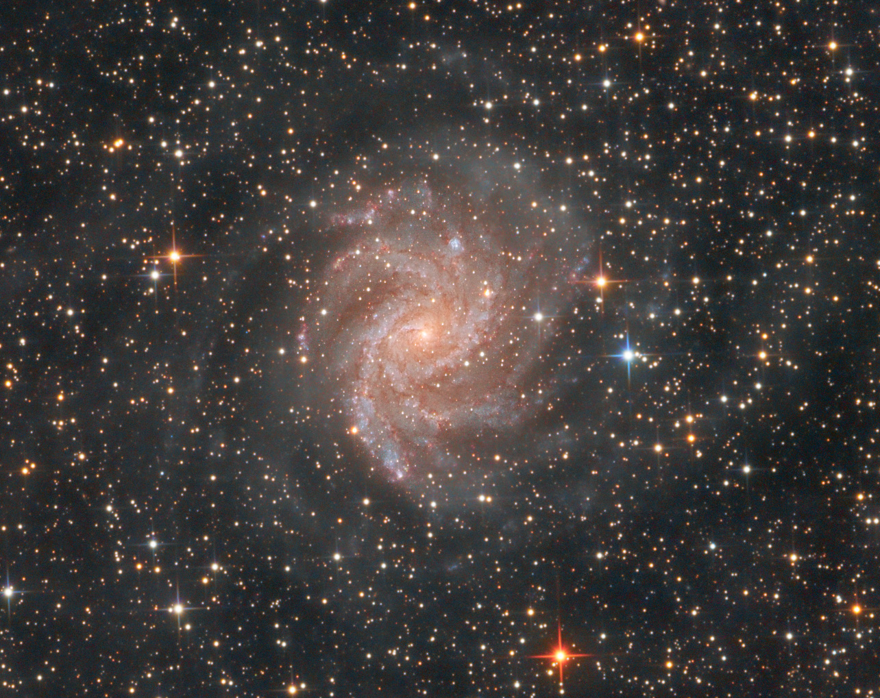 A Zoom on the Galaxy NGC 6946 - The Fireworks Galaxy